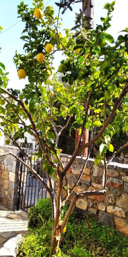 Traditional House In Elounda Exterior photo